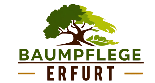 Baumpflege Erfurt